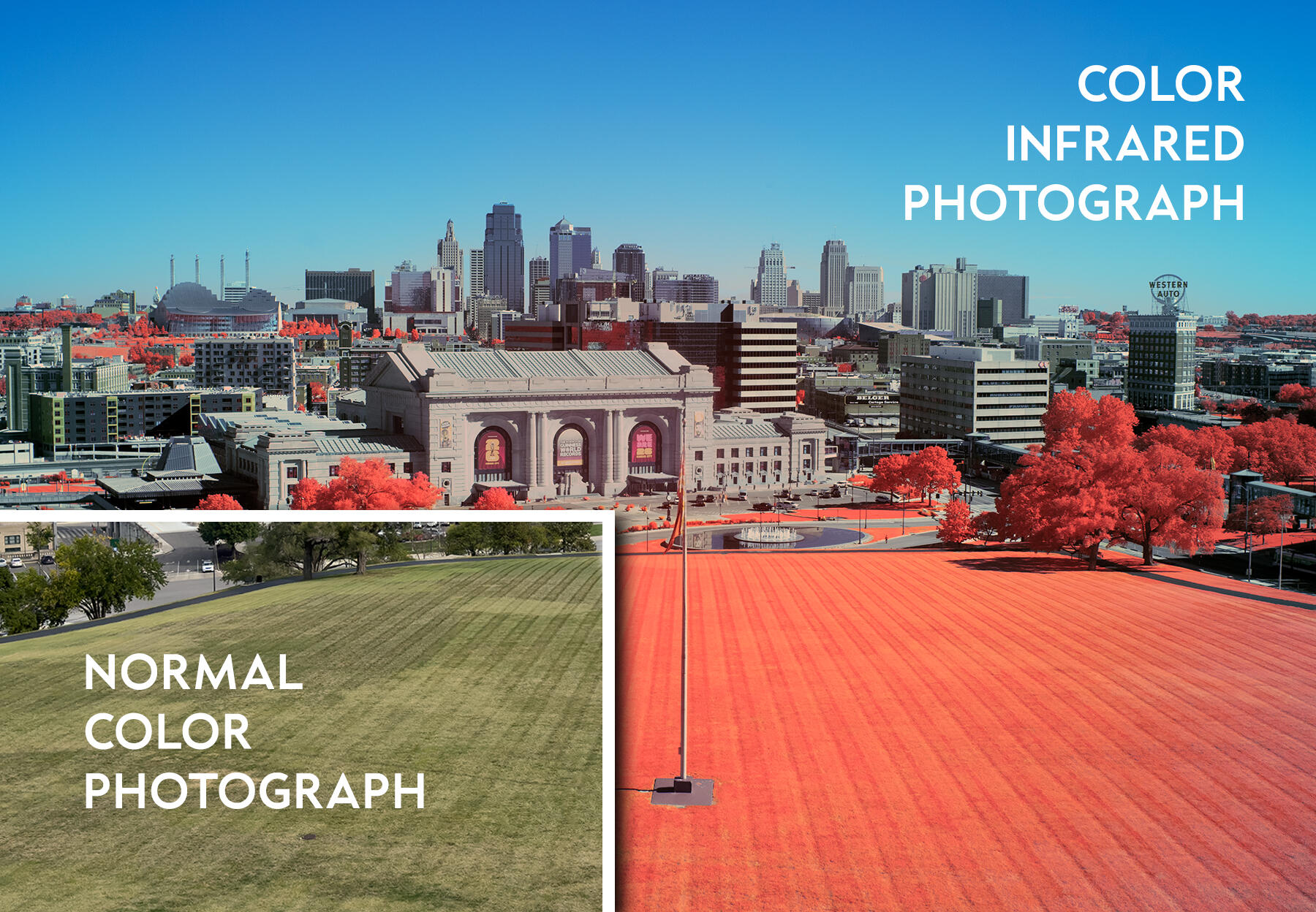 Diagram of how color infrared film works